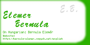 elemer bernula business card